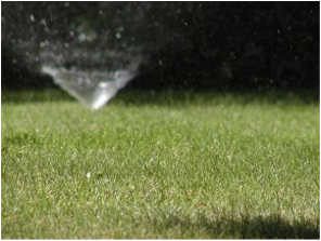 irrigation valve